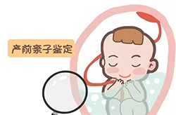 威海孕期亲子鉴定资料和流程,威海去哪里做怀孕亲子鉴定 威海孕期亲子鉴定资料和流程,威海去哪里做怀孕亲子鉴定